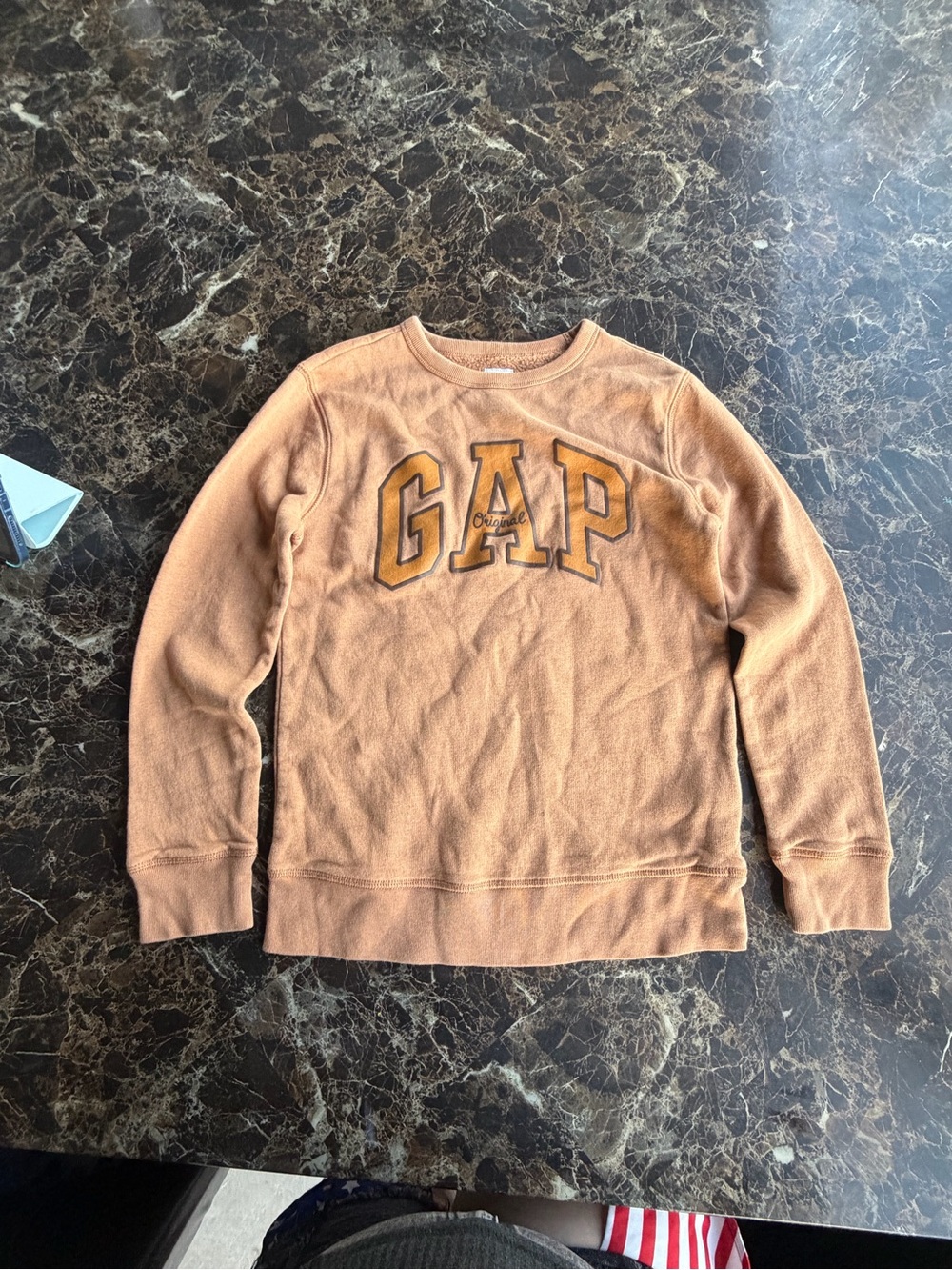 GAP Kids Crewneck Sweatshirt in Light Brown with Gold Lettering